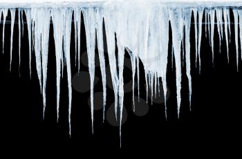 Group of icicles hanging on black background