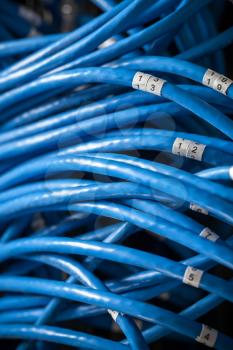 Large group of blue utp Internet cables with numbers