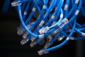 Large group of blue disconnected Internet cables 