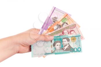 Dominican Republic money in female hand, studio photo isolated on white