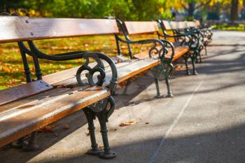 Empty wooden benches stand in a row in autumnal park