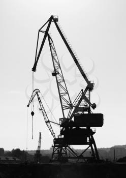 Silhouettes of industrial port cranes. Danube River coast in Bulgaria. Black and white vertical photo