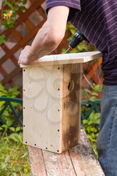 Production of homemade birdhouse, a man assembling wooden parts