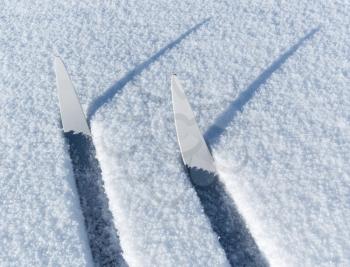 Fragments of cross-country skis in a friable snow with shadows