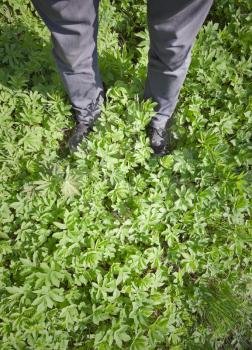 Legs of a man in gray jeans and boots standing on the fresh green grass