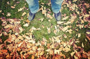 Male feet in blue jeans and black shoes standing on green park grass with autumnal leaves, warm tonal correction photo filter