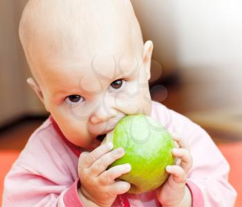 Little baby in a pink jacket eats green apple and looks in the camera
