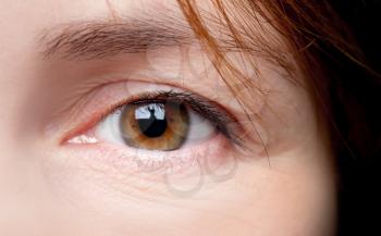 Macro shot of young woman brown eye