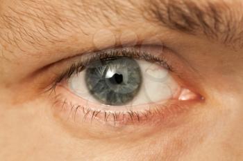 Close up photo of Caucasian man gray eye