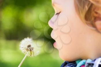 Caucasian blond baby girl and dandelion flower in a park, selective focus on lips