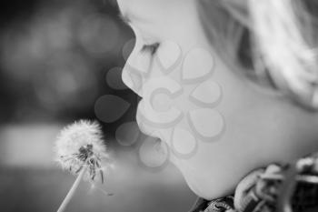 Caucasian blond baby girl and dandelion flower in a park, monochrome photo with selective focus
