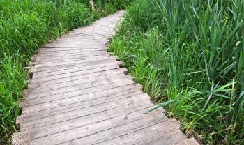 Old planked footway in the park on river coast in Moscow, Russia