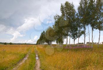 Russian rural landscape with dirt road along the field and bright cloudy sky