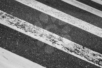 Pedestrian crossing road marking on dark asphalt