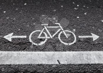 Bicycle lane. White road marking with arrows on dark asphalt