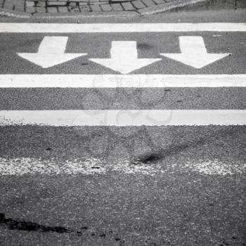 White arrows and lines on dark gray asphalt road, pedestrian crossing road marking