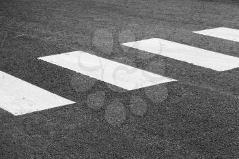 Pedestrian crossing road marking, white rectangles over gray asphalt pavement, selective focus and shallow DOF