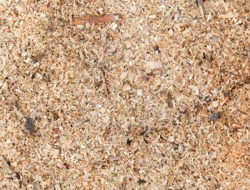 Sawdust detailed photo background texture