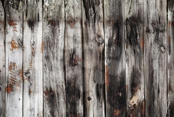 Detailed background texture of old dark gray weathered wooden lining boards surface