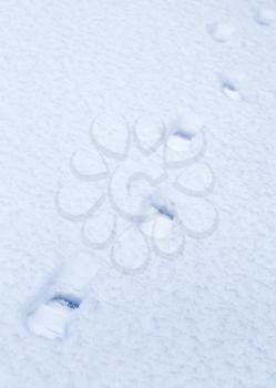 Man's footprints in the snow