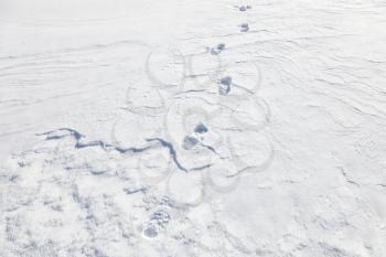 Approaching man's footprints in the snowdrift