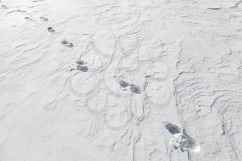 Approaching man's footprints in the snow