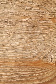 Rough uncolored wooden surface closeup background texture