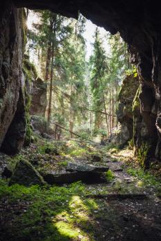 Exit to the forest from the dark rocky cave, vertical natural photo