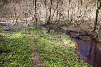 Small stream with dark red water runs through wild forest near with footpath