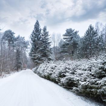 Empty rural road covered with snow goes along European forest in cold winter season