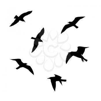 Set of flying seagulls silhouettes isolated on white background