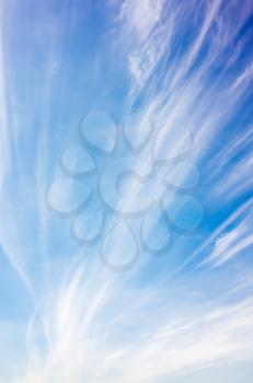 Cirrus clouds, vertical natural blue cloudy sky background photo