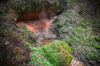 Small forest stream flowing from a spring in the red sand