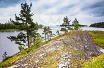 Ladoga lake landscape. Pine trees and green grass grow on coastal rocks under dark cloudy sky