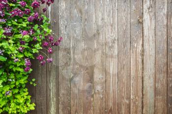Wooden wall with decorative flowers. Summer garden background photo texture