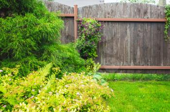 Wooden fence near fresh green lawn and decorative plants in summer garden