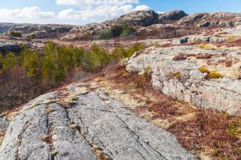 Northern Norway in springtime. Mountain landscape with trees red moss growing on rocks