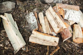 Pile of firewood on the ground in forest