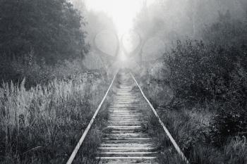Empty railway goes through foggy forest in morning, black and white photo background