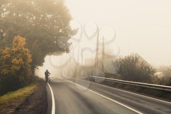 Empty rural highway in autumn foggy morning, warm vintage tonal correction effect, old style photo filter