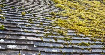 Old stone roof tiling with green moss growing on it, photo background with selective focus