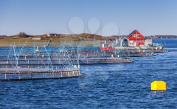 Norwegian fish farm for salmon growing in natural environment. Sea fjord in Trondheim region