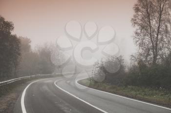 Rural foggy road background photo, turn on highway with trees on roadsides, stylized photo with warm tonal correction effect, old style filter 