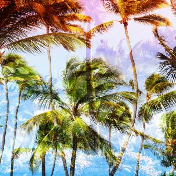 Coconut palm trees and sky, tropical vacation background. Square double exposure photo with colorful tonal correction filter effect