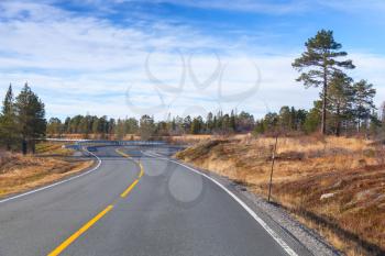 Empty rural Norwegian road in autumn season