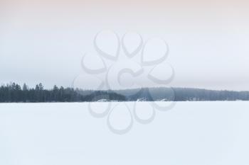 Winter landscape, frozen lake under snow layer with cold forest on the horizon, natural background photo