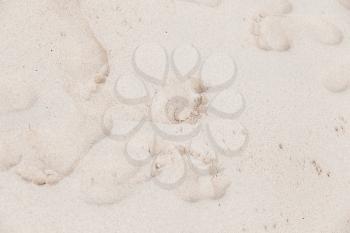 Footprints in white coastal sand, beach background texture