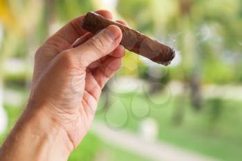 Handmade cigar in male hand, close-up photo with selective focus