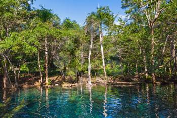 Small still lake in tropical forest, natural landscape of Dominican Republic