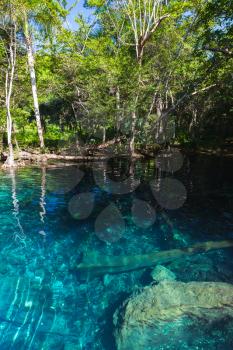 Still blue lake in dark tropical forest, natural vertical landscape of Dominican Republic